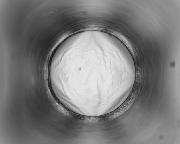 X0000103440859200810031411