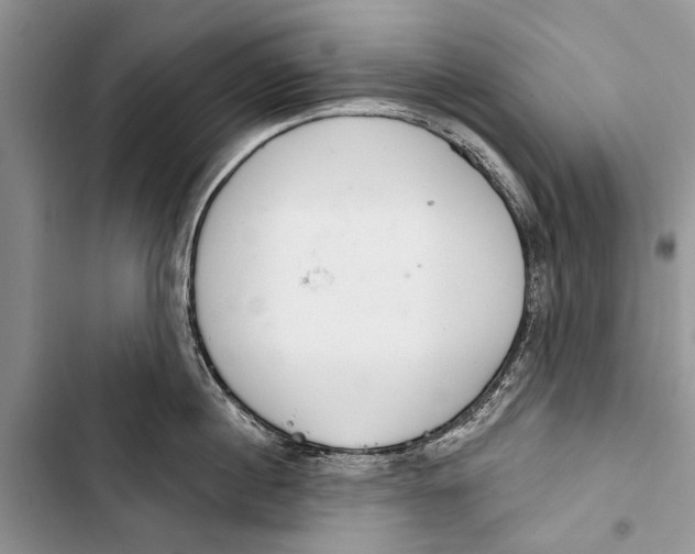 X0000103440860200810031411