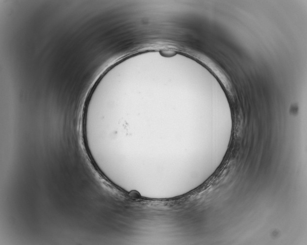 X0000103440861200810031411