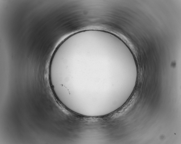 X0000103440862200810031411