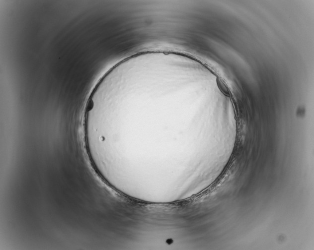 X0000103440863200810031411