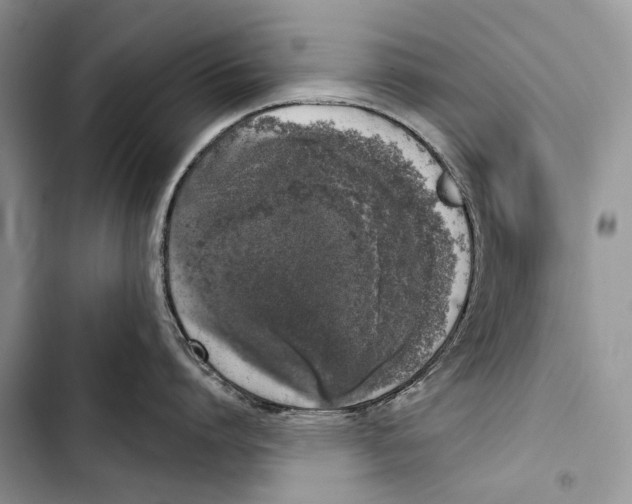 X0000103440864200810031411