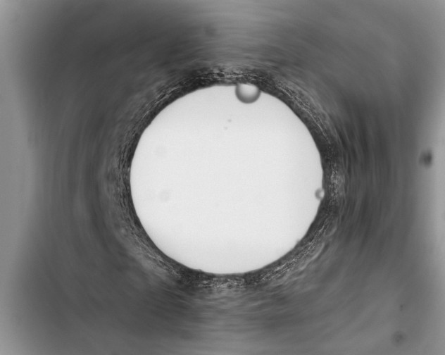 X0000103440865200810031411