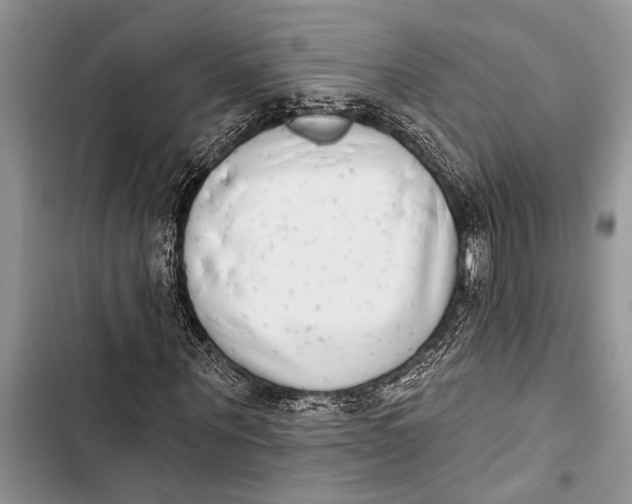 X0000103440867200810031411