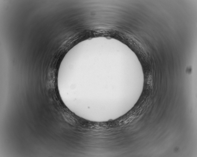 X0000103440868200810031411