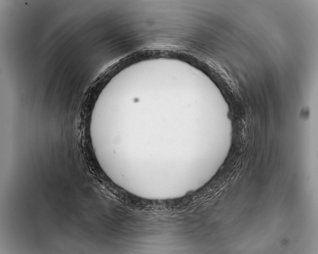 X0000103440872200810031411