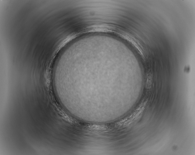 X0000103440874200810031411