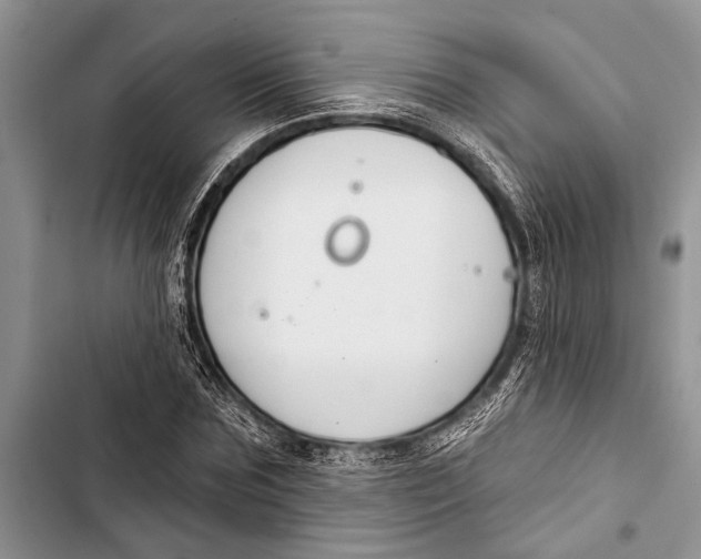 X0000103440875200810031411