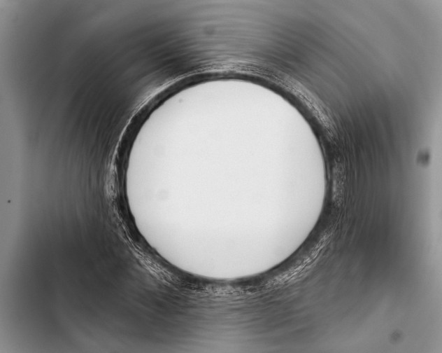 X0000103440876200810031411