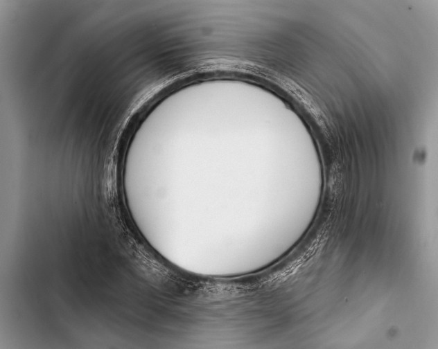 X0000103440877200810031411