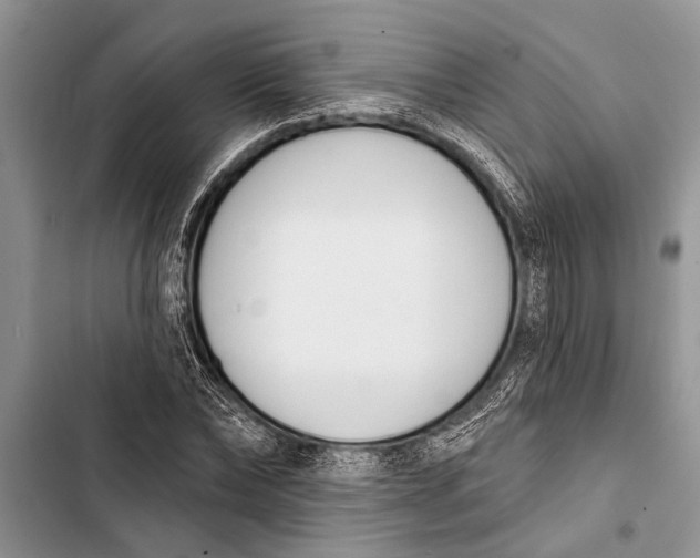 X0000103440878200810031411