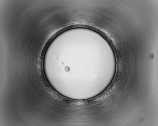 X0000103440879200810031411