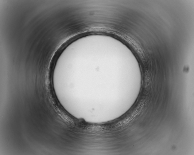 X0000103440880200810031411