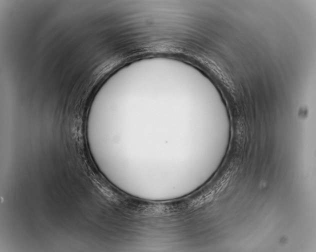 X0000103440881200810031411
