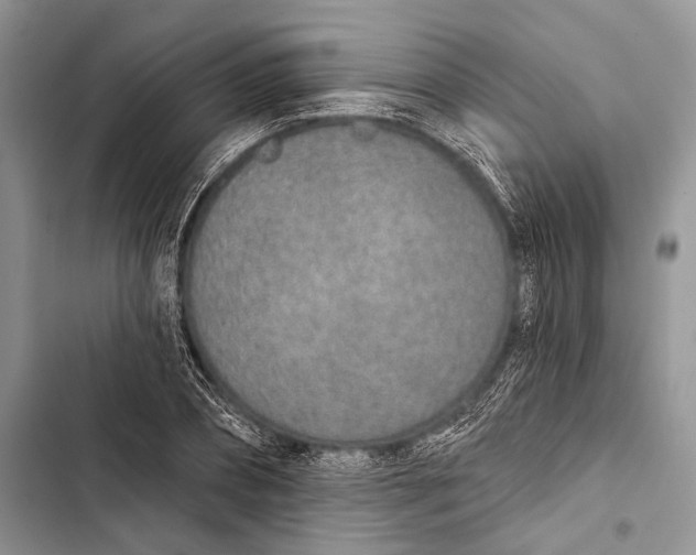 X0000103440882200810031411