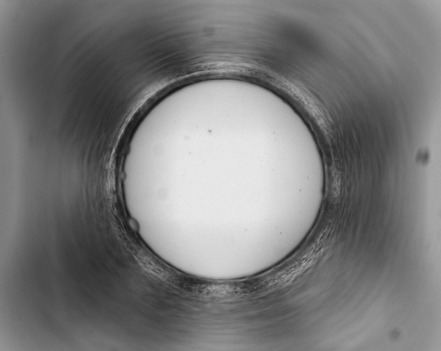 X0000103440883200810031410