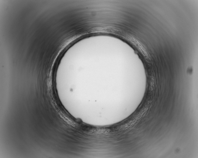 X0000103440884200810031410