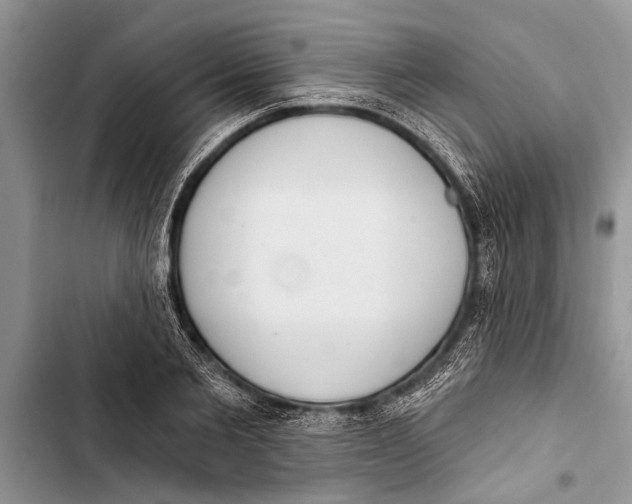 X0000103440885200810031410