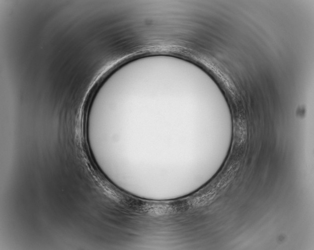 X0000103440886200810031410