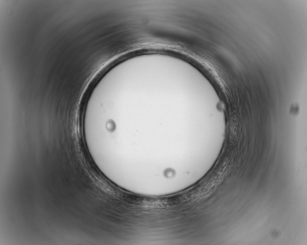 X0000103440887200810031410