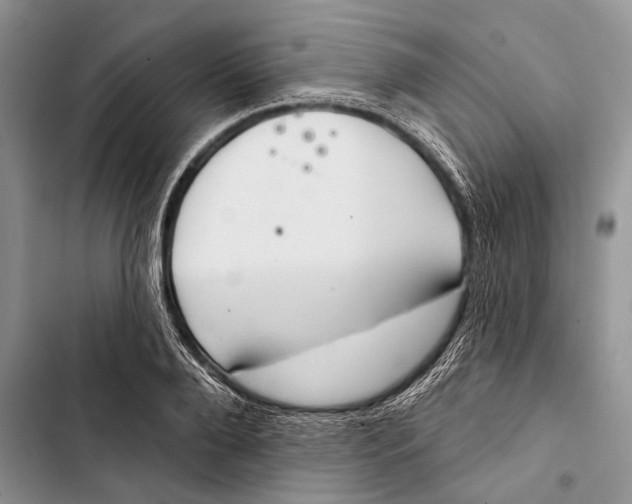 X0000103440888200810031410
