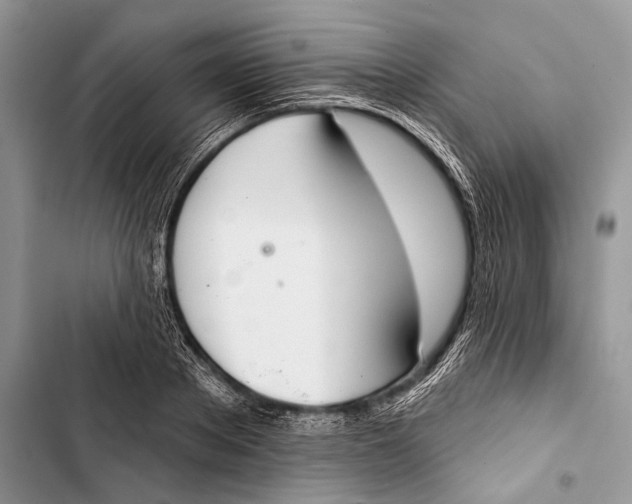 X0000103440889200810031410