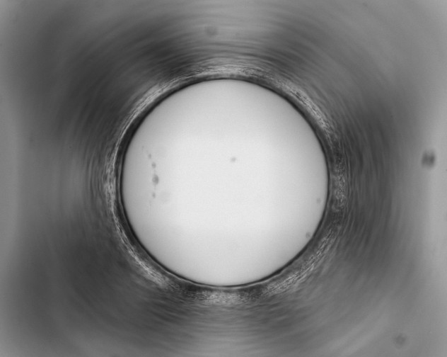 X0000103440890200810031410