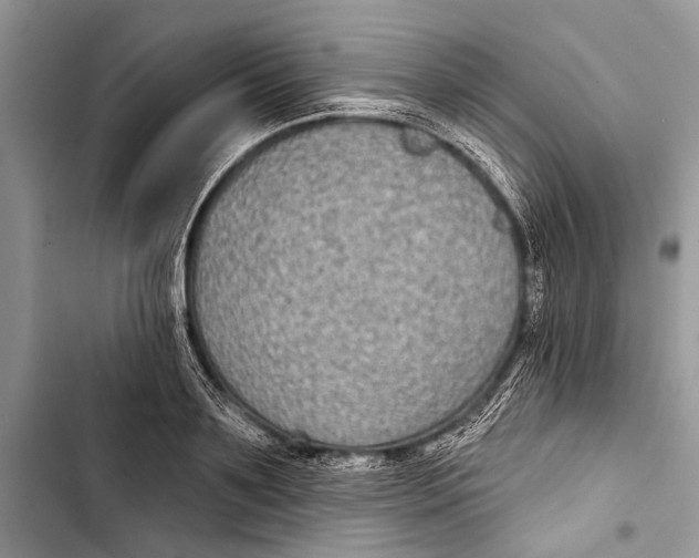 X0000103440891200810031410