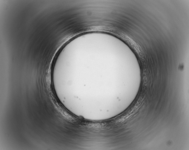 X0000103440892200810031410