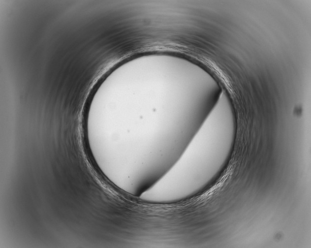 X0000103440893200810031410