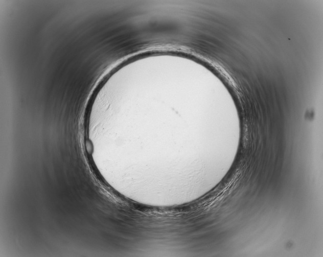 X0000103440895200810031410