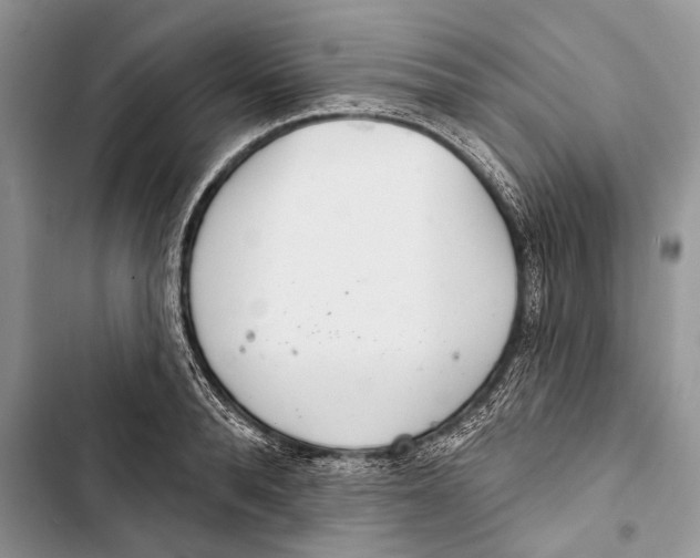 X0000103440896200810031410