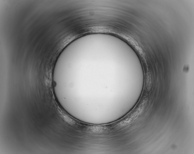X0000103440897200810031410