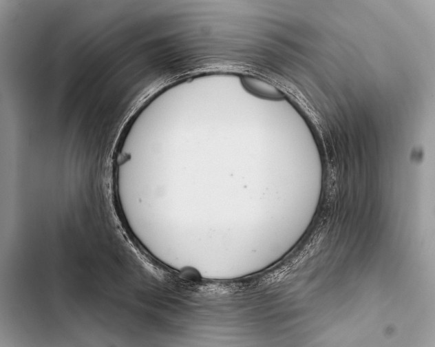 X0000103440898200810031410