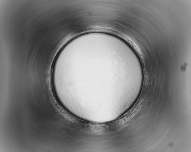 X0000103440899200810031410