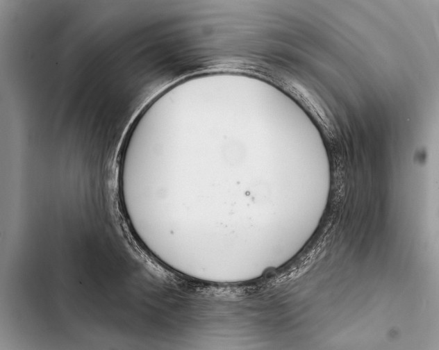 X0000103440900200810031410