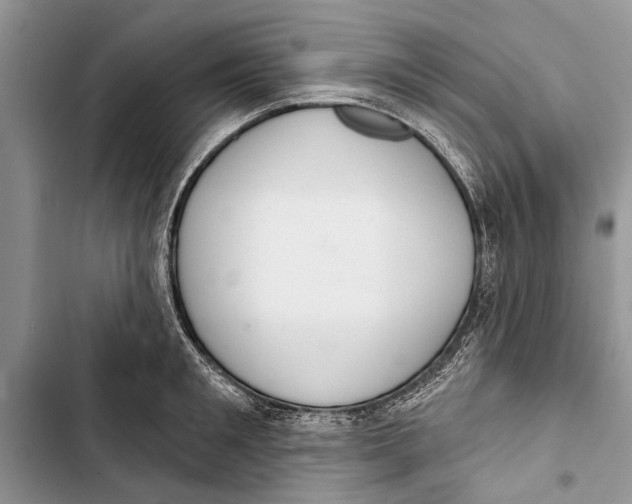 X0000103440901200810031410