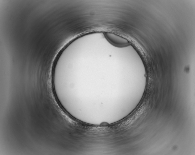 X0000103440902200810031410