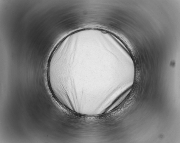X0000103440903200810031410