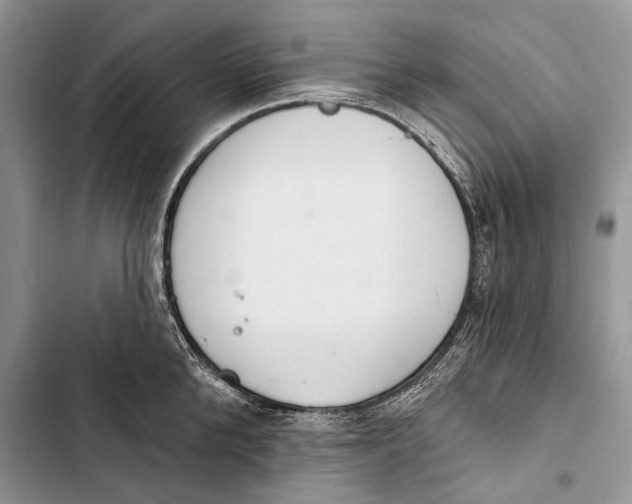 X0000103440904200810031410