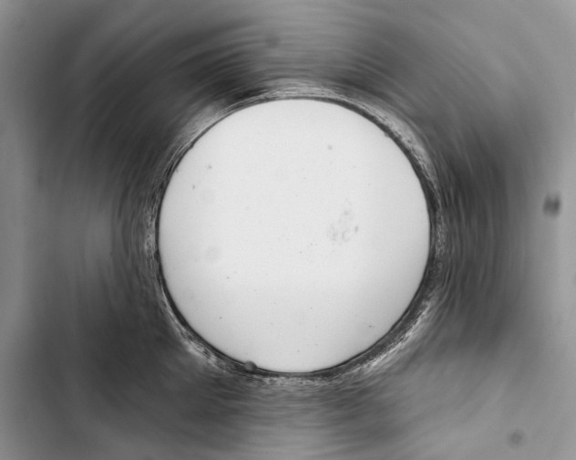X0000103440905200810031410