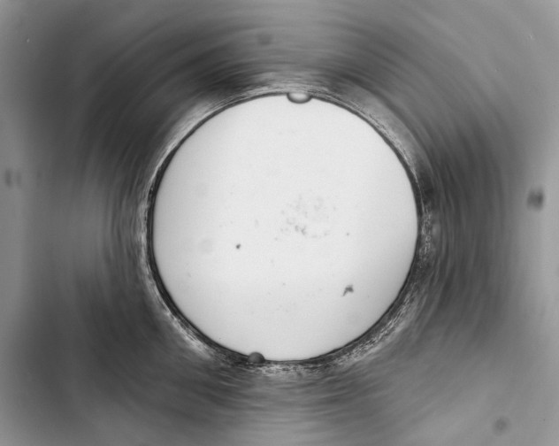X0000103440906200810031410