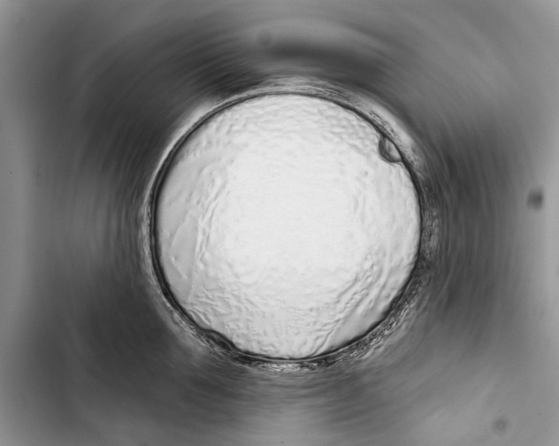 X0000103440907200810031410