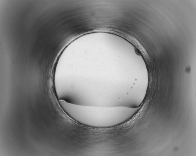 X0000103440908200810031410