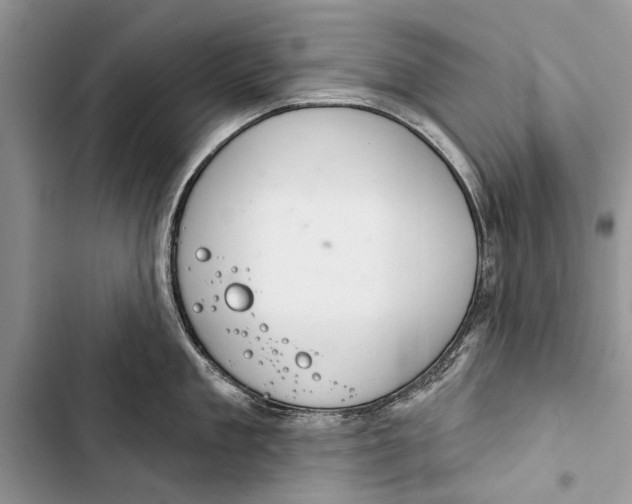 X0000103440909200810031410