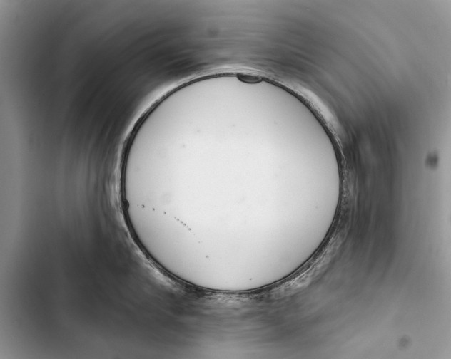 X0000103440910200810031410