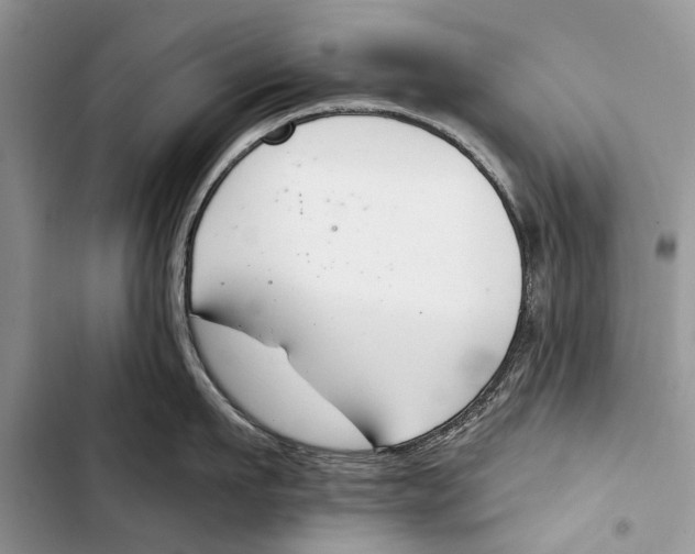 X0000103440911200810031410
