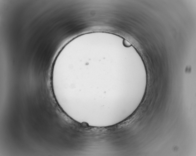 X0000103440912200810031410