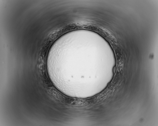 X0000103440917200810031409