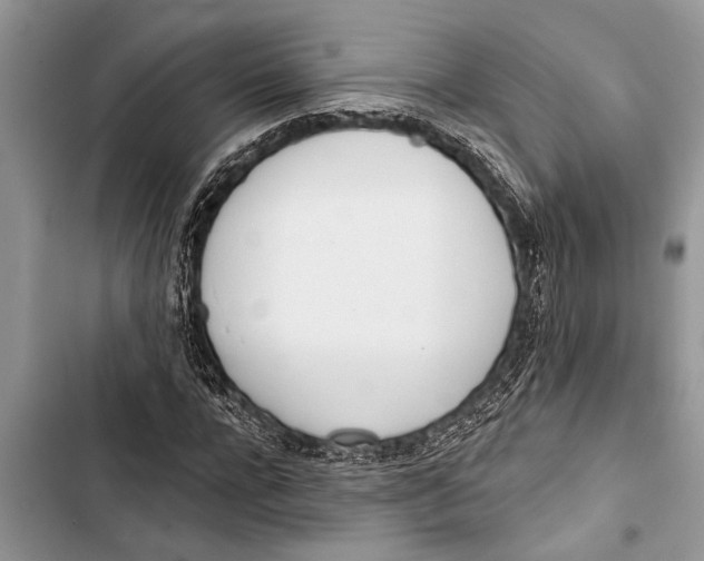 X0000103440920200810031410